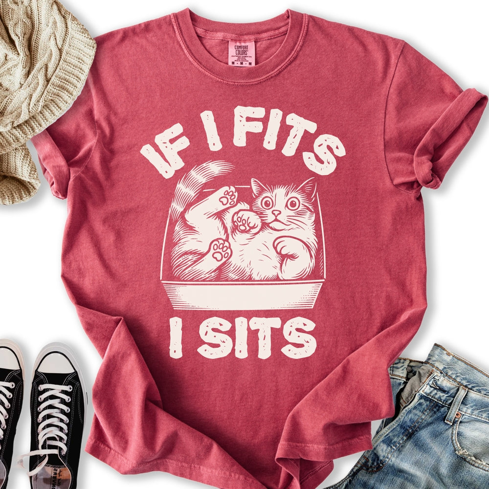 If I Fits I Sits T-Shirt