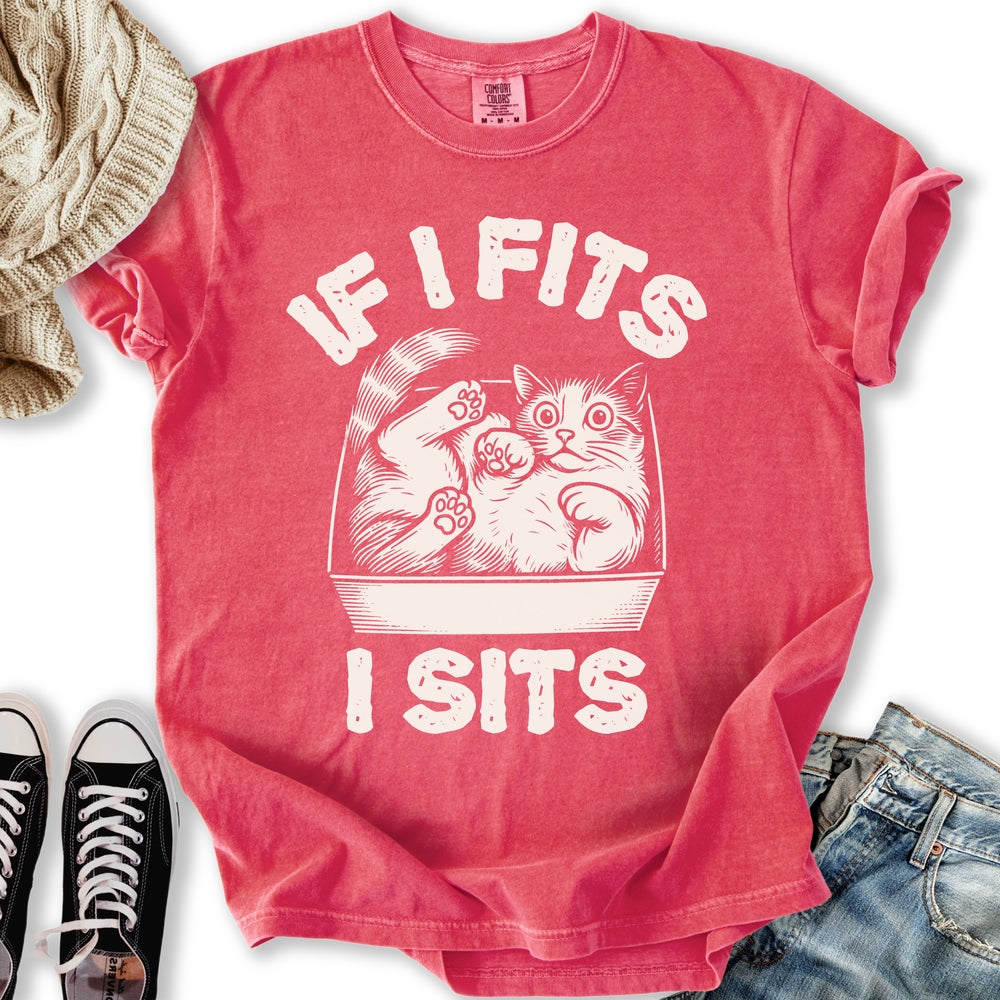 If I Fits I Sits T-Shirt