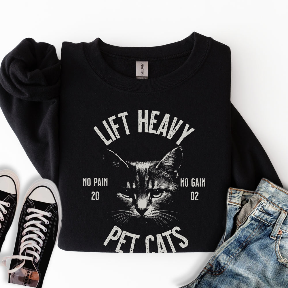 Lift Heavy Pet Cats Sweatshirt