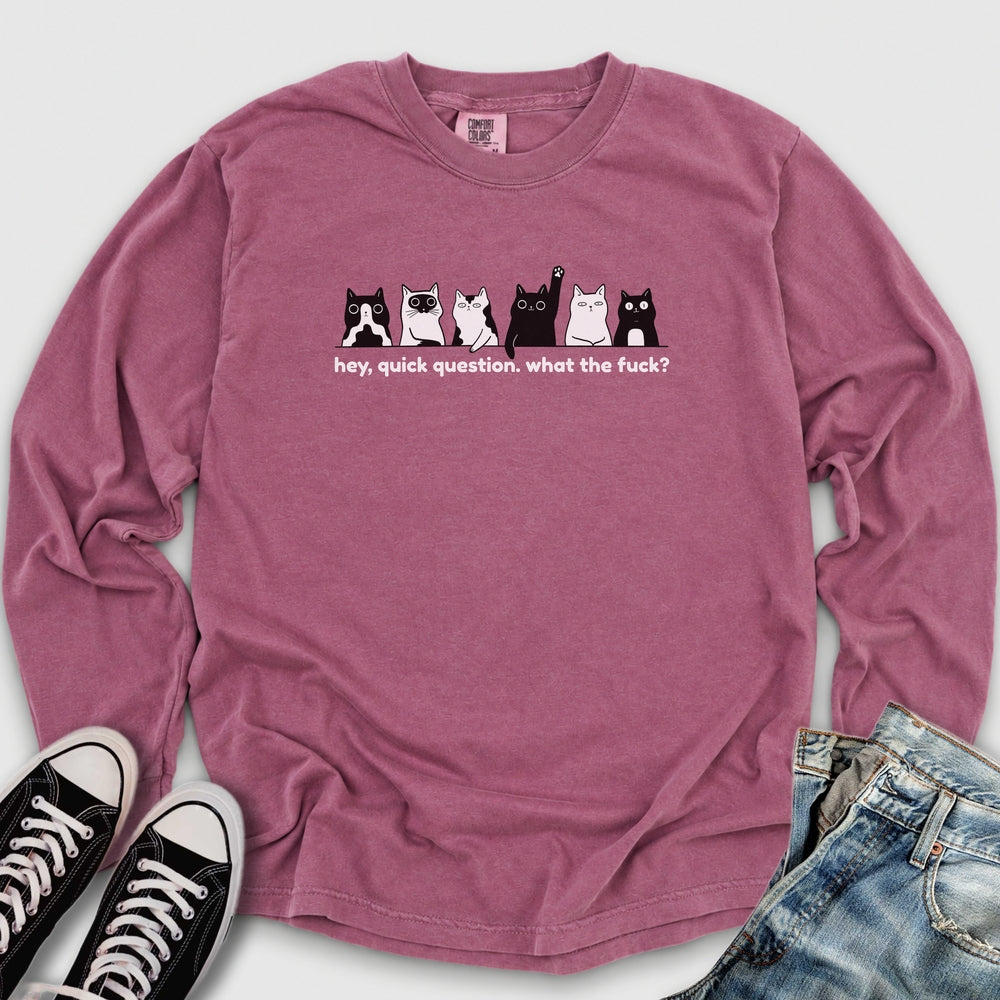 Hey Quick Question Long Sleeve Tee