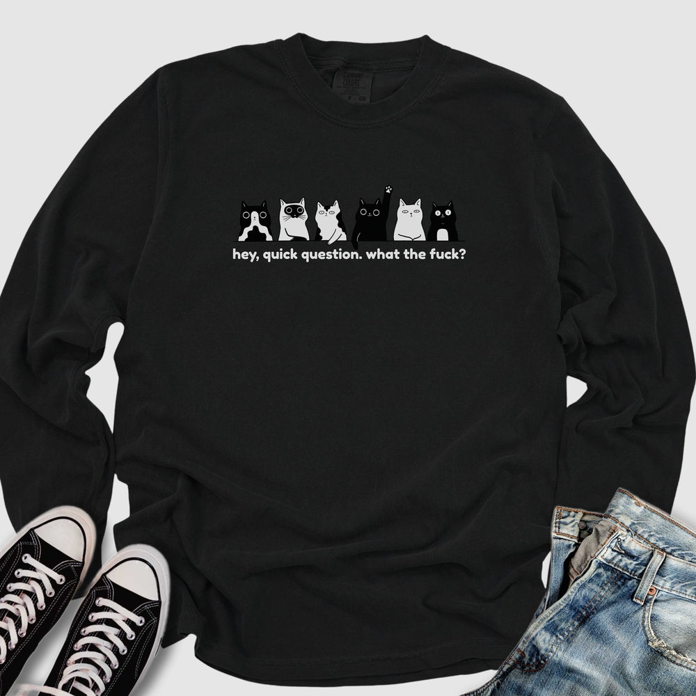 Hey Quick Question Long Sleeve Tee