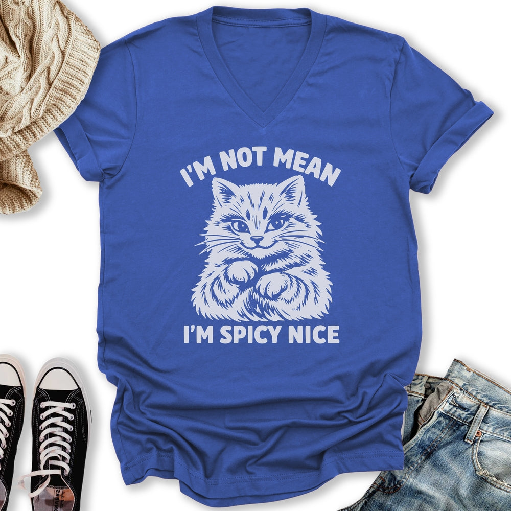 Spicy Nice V-Neck Tee