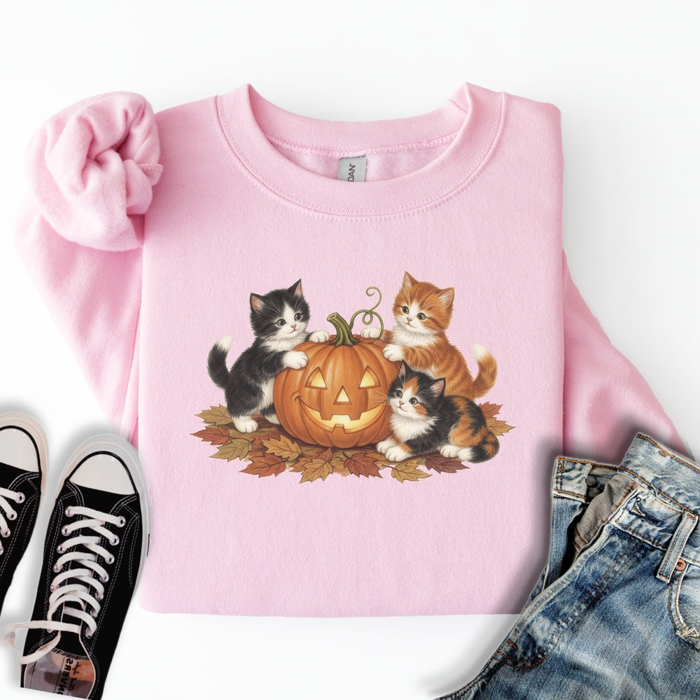 Cute Fall Kittens Sweatshirt