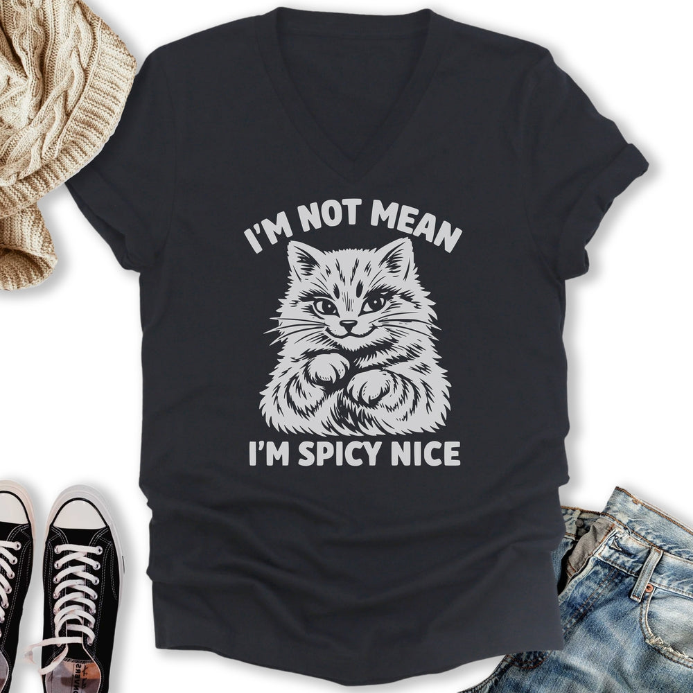 Spicy Nice V-Neck Tee