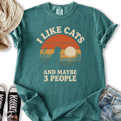 Retro Sunset I Like Cats T-Shirt