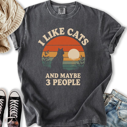 Retro Sunset I Like Cats T-Shirt
