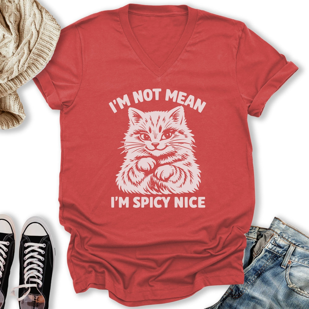 Spicy Nice V-Neck Tee