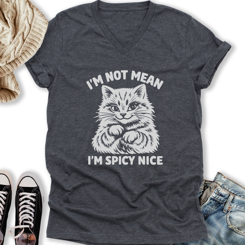 Spicy Nice V-Neck Tee