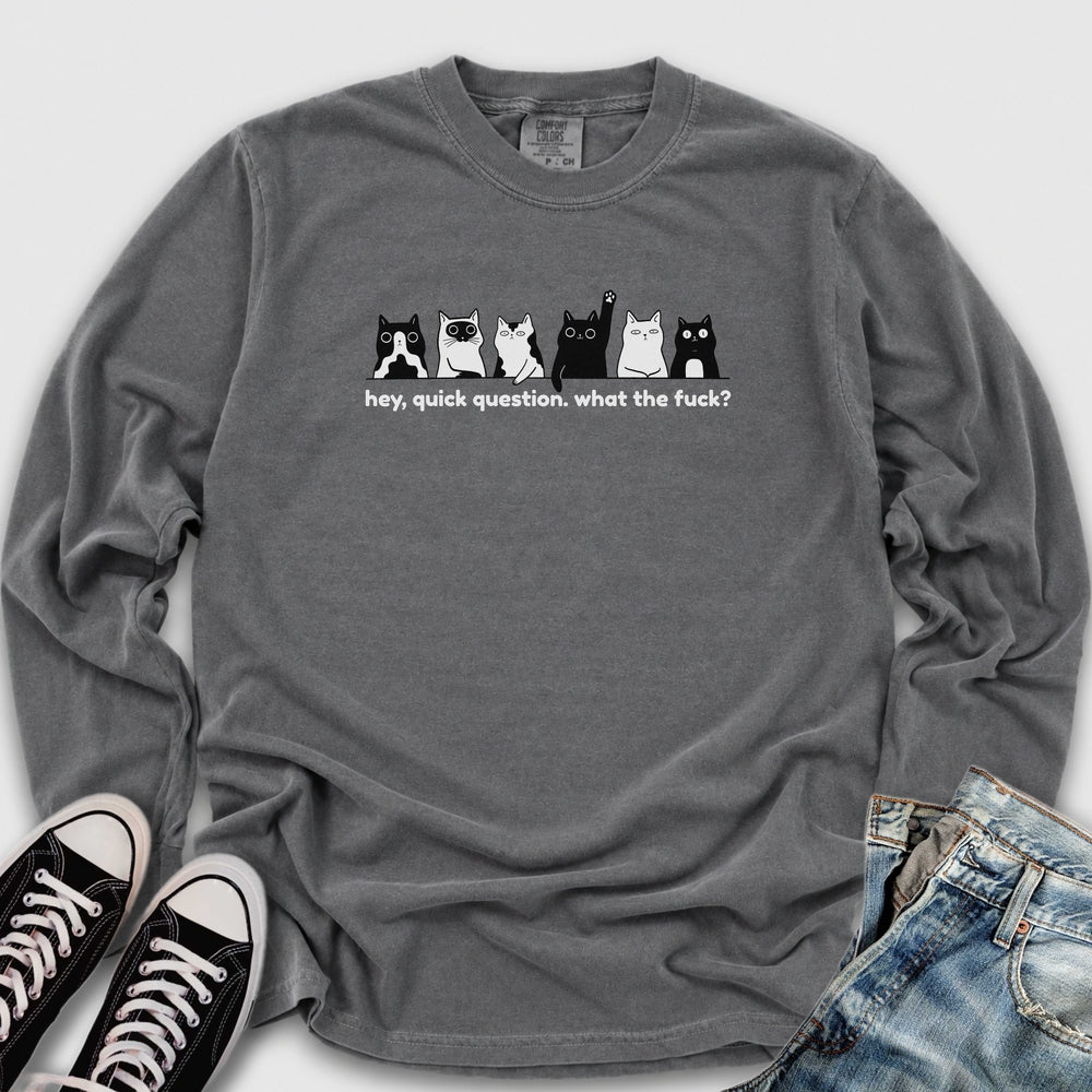 Hey Quick Question Long Sleeve Tee