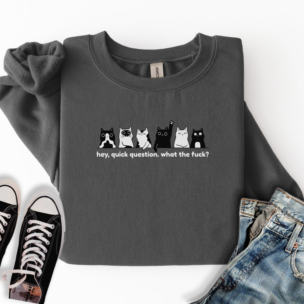 Hey Quick Question Sweatshirt
