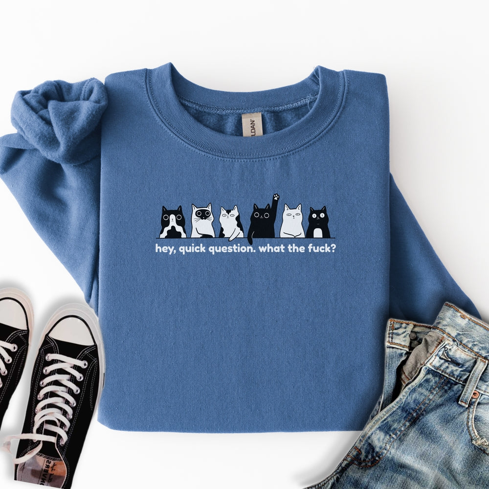 Hey Quick Question Sweatshirt