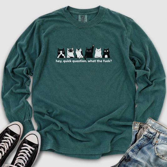 Hey Quick Question Long Sleeve Tee