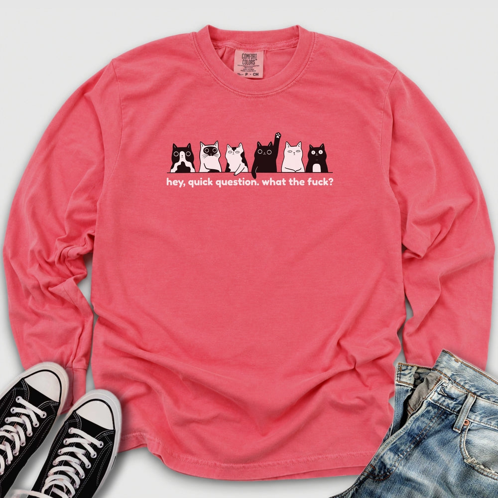 Hey Quick Question Long Sleeve Tee