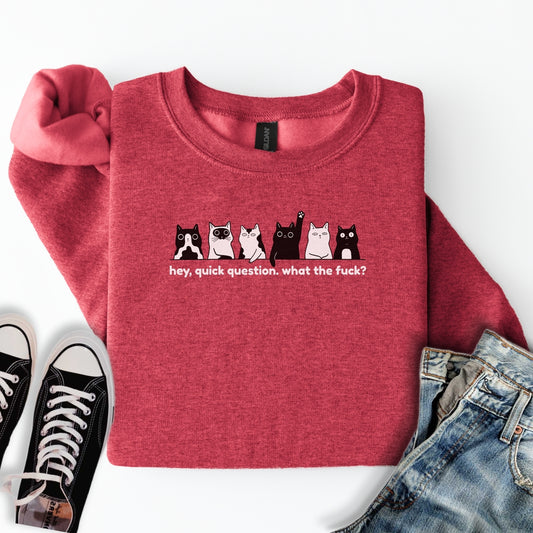 Hey Quick Question Sweatshirt