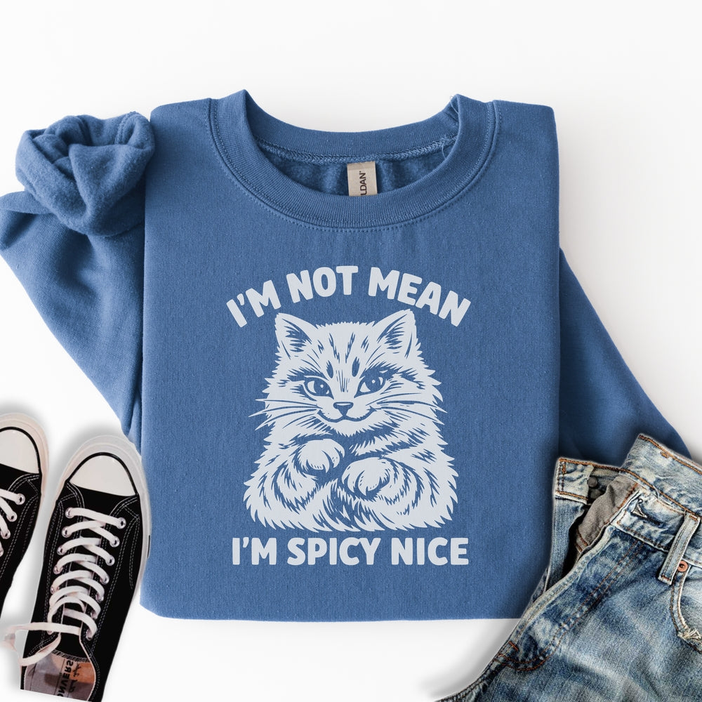 Spicy Nice Sweatshirt