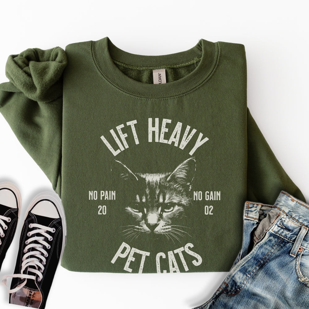 Lift Heavy Pet Cats Sweatshirt