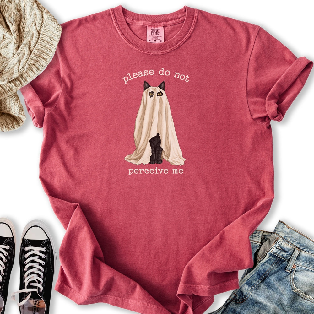 Do Not Perceive Me Relaxed Tee