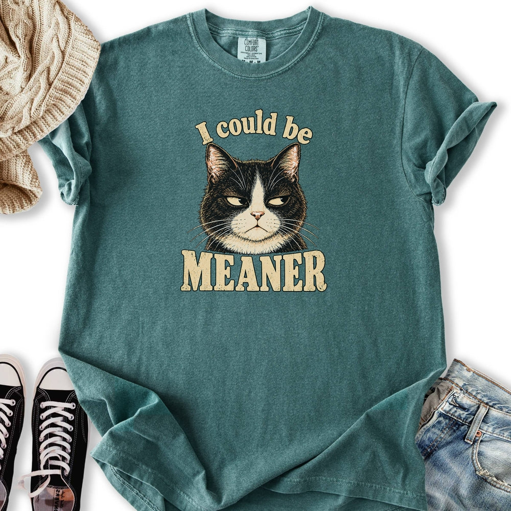 Could Be Meaner Relaxed Tee